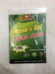 环保粘鼠板与虫害防治产品 义乌市绿亚日用品厂厂家直销